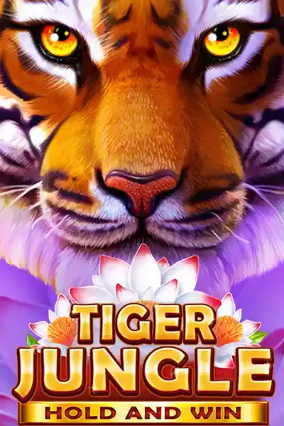BOM88 Tiger Jungle: Hold and Win